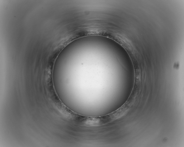 X0000091660369200709061026