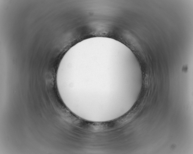 X0000091660370200709061026