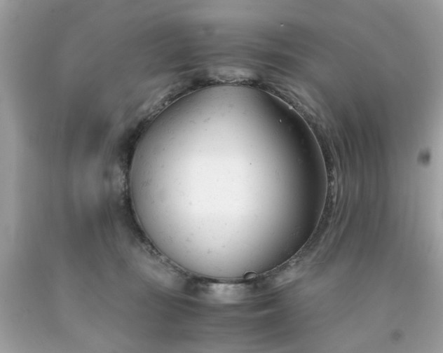 X0000091660371200709061026