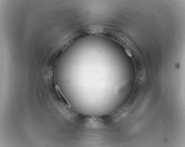 X0000091660372200709061026