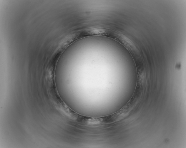 X0000091660373200709061026