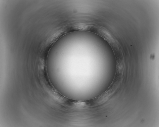 X0000091660374200709061026