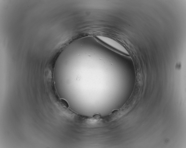 X0000091660375200709061026