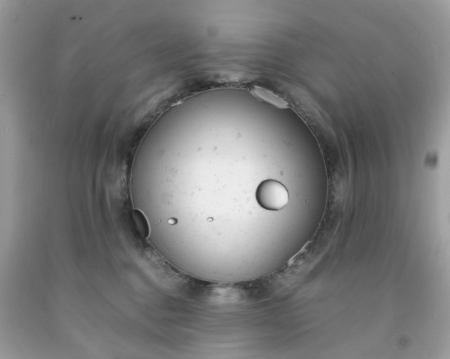 X0000091660376200709061026