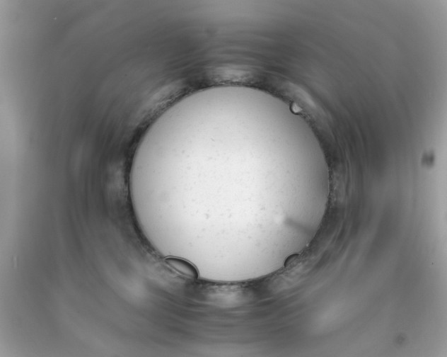 X0000091660377200709061026