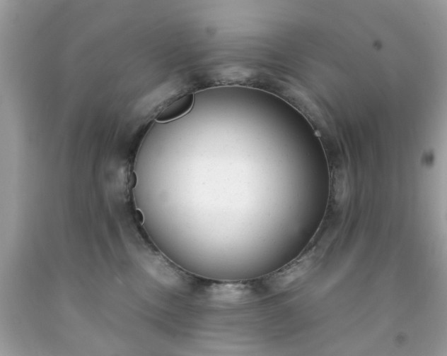 X0000091660378200709061026