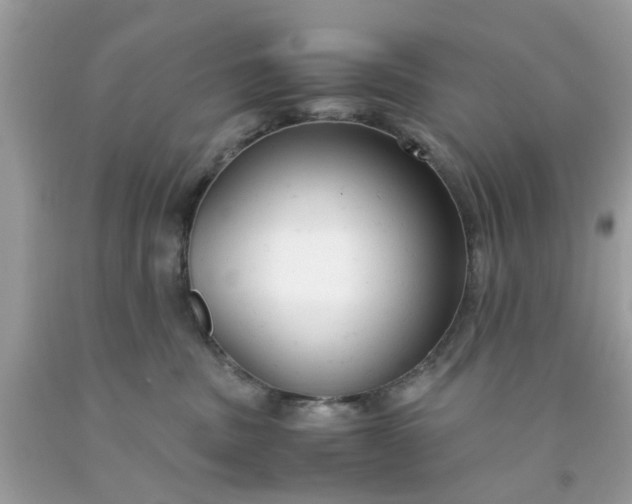 X0000091660379200709061026