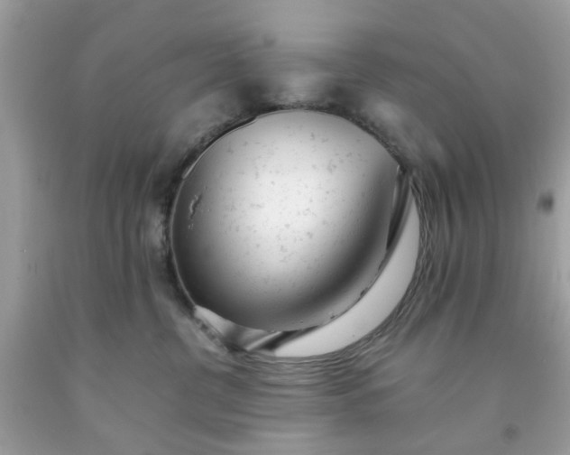 X0000091660380200709061026