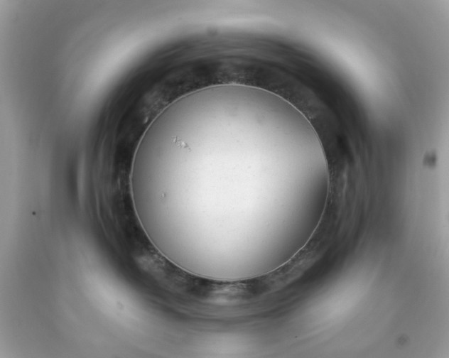 X0000091660382200709061026