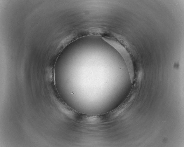 X0000091660383200709061026