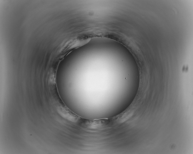 X0000091660384200709061026