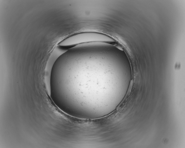 X0000091660385200709061025