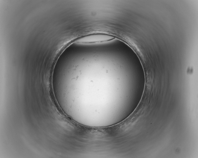 X0000091660386200709061025