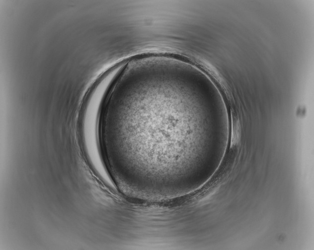 X0000091660387200709061025