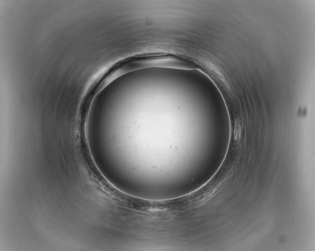 X0000091660388200709061025