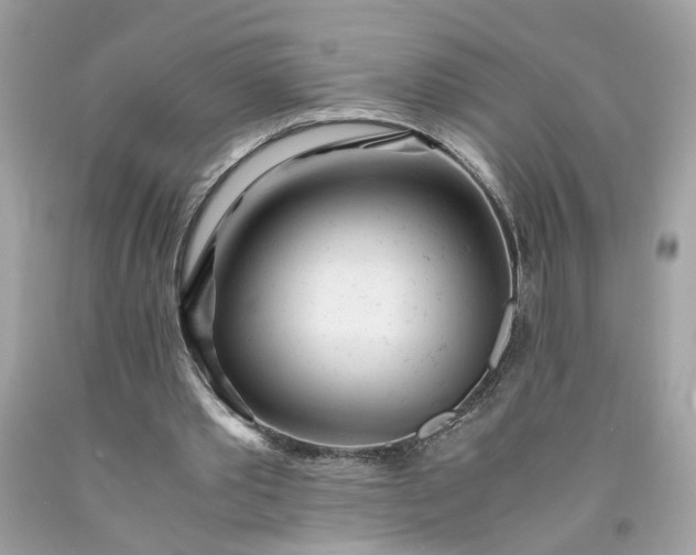 X0000091660389200709061025