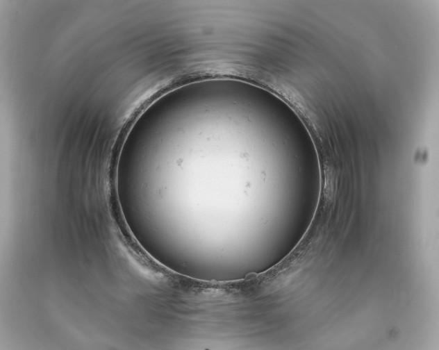 X0000091660390200709061025