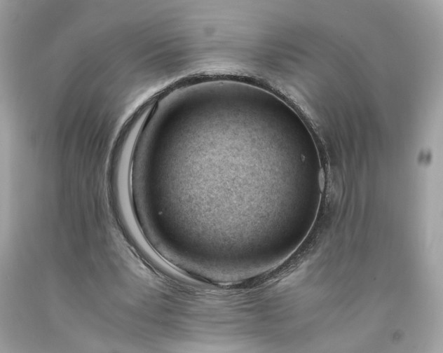 X0000091660391200709061025