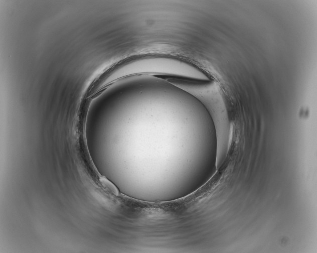 X0000091660392200709061025