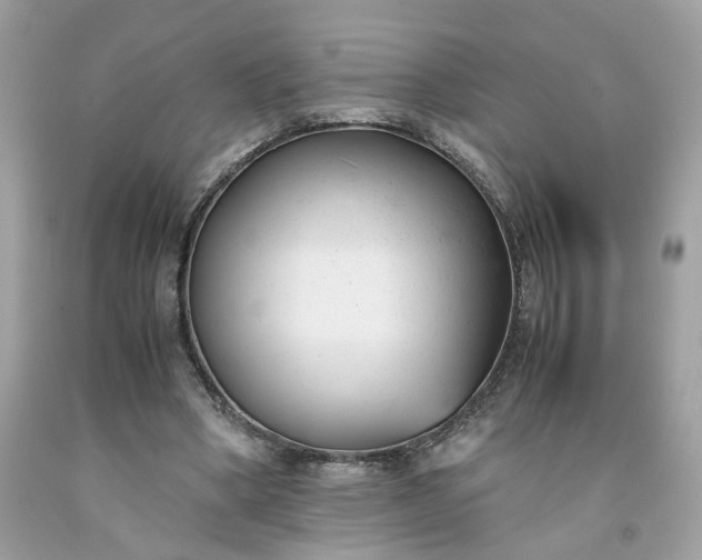 X0000091660394200709061025