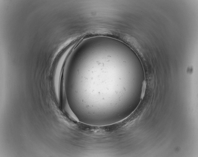 X0000091660395200709061025