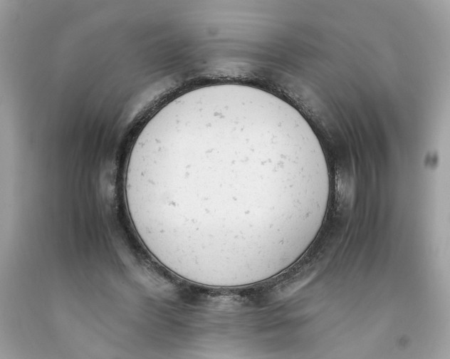 X0000091660396200709061025