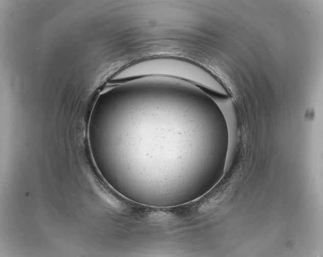 X0000091660397200709061025