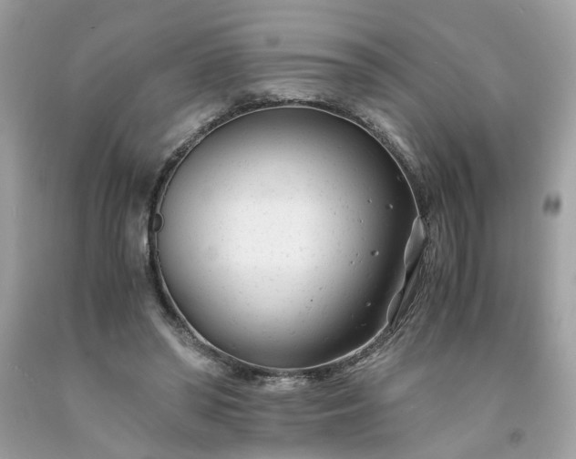 X0000091660398200709061025