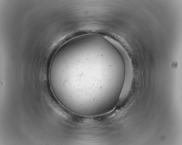 X0000091660399200709061025