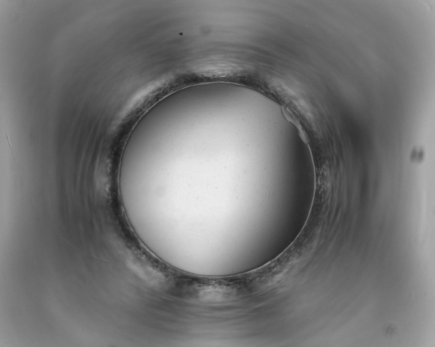 X0000091660400200709061025