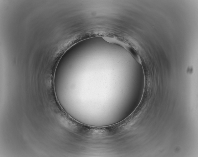 X0000091660401200709061025