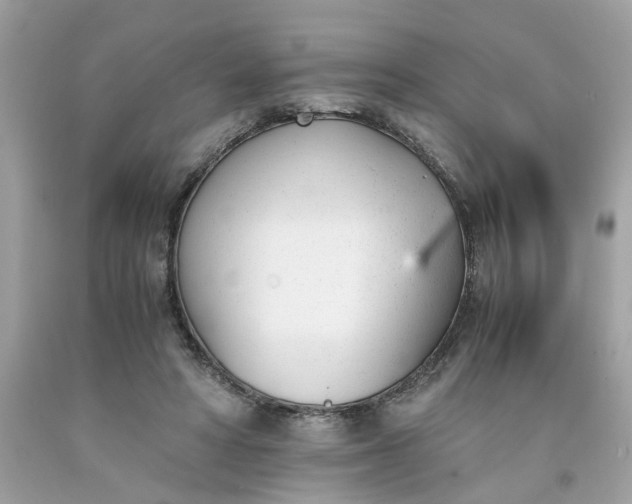 X0000091660402200709061025