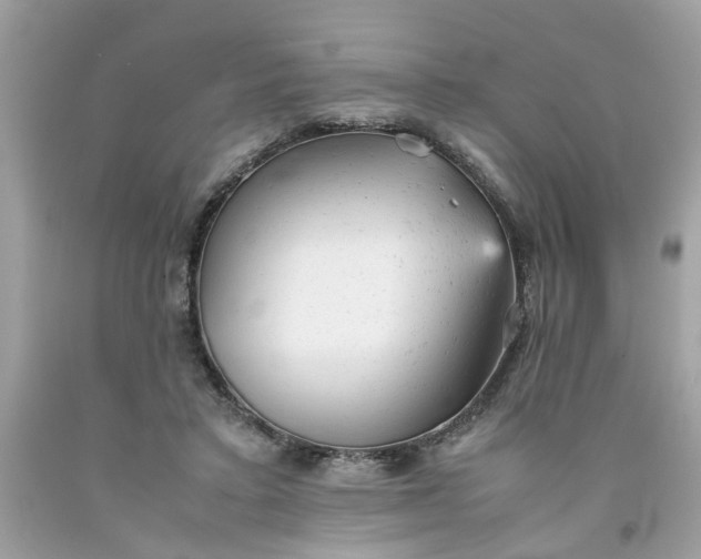 X0000091660403200709061025