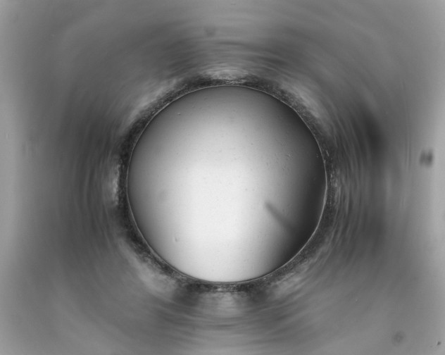 X0000091660404200709061025