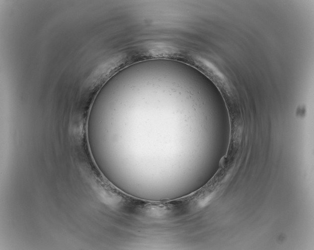 X0000091660405200709061025