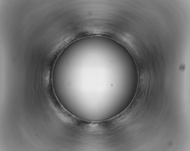 X0000091660406200709061025