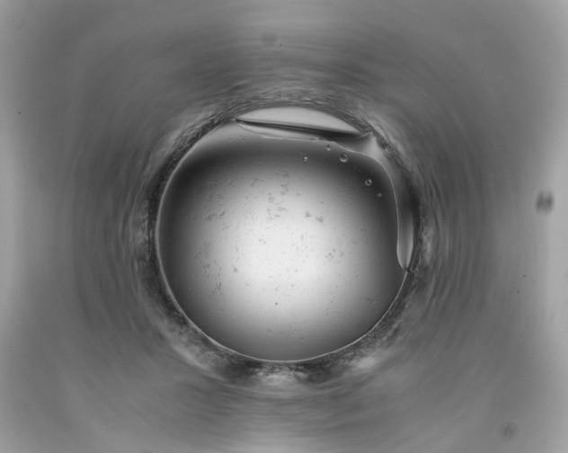 X0000091660407200709061025