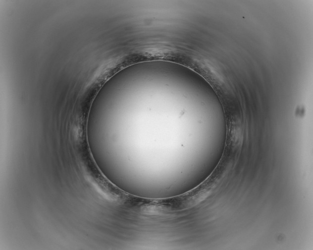 X0000091660408200709061025