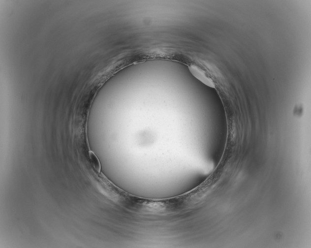 X0000091660409200709061025