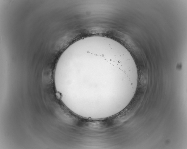 X0000091660411200709061024