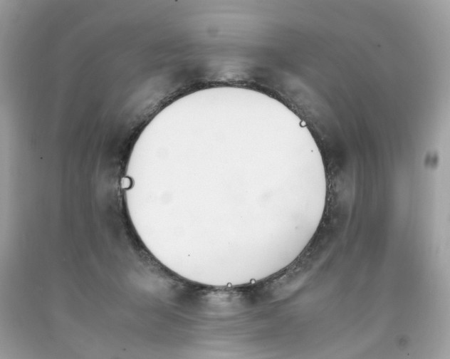 X0000091660415200709061024