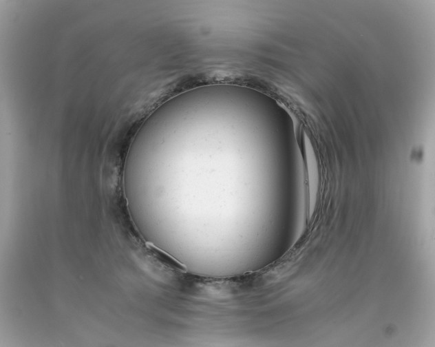 X0000091660417200709061024