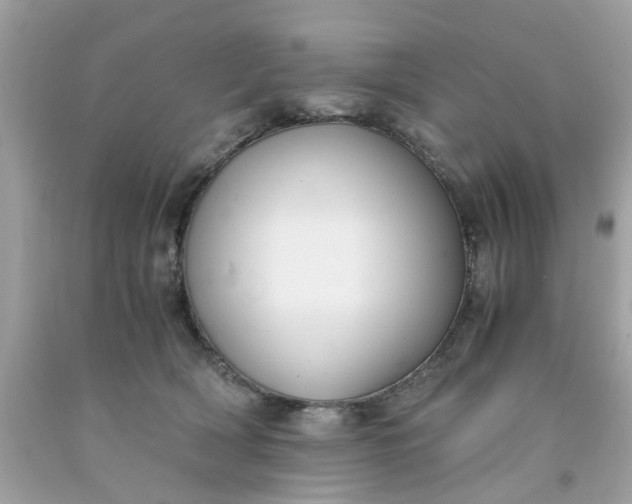 X0000091660418200709061024