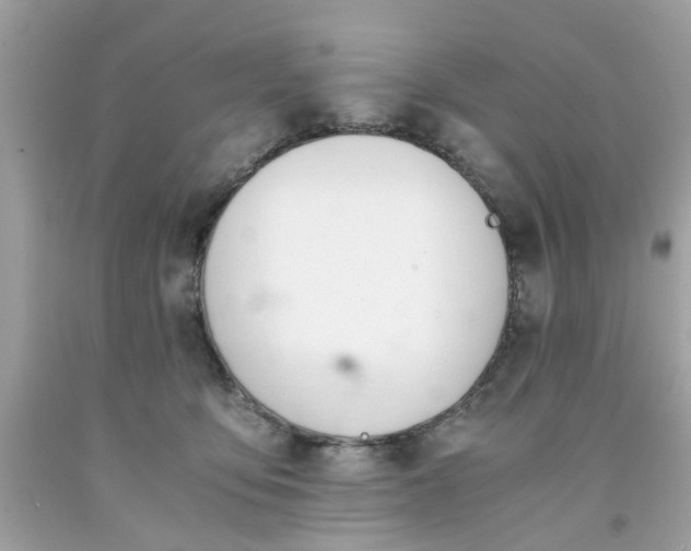 X0000091660419200709061024