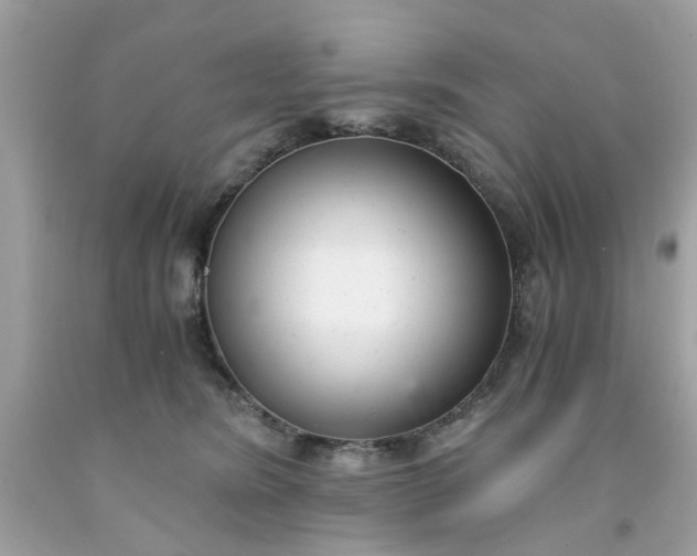 X0000091660420200709061024