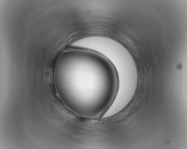 X0000091660421200709061024