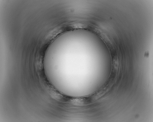 X0000091660422200709061024