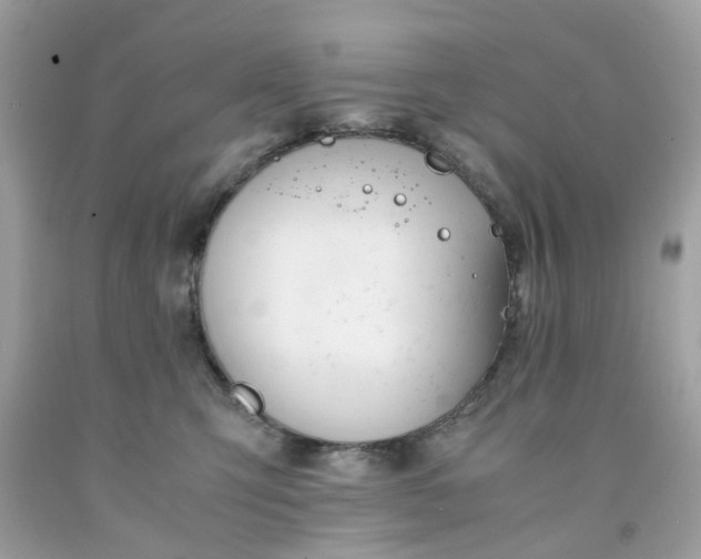 X0000091660423200709061024