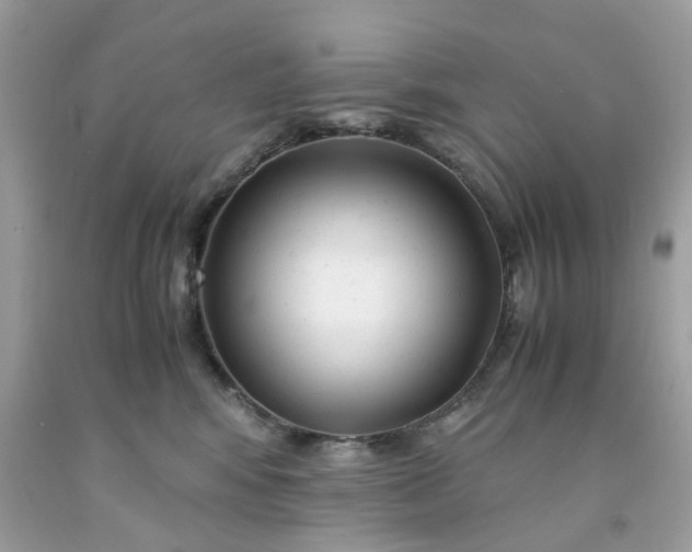 X0000091660424200709061024