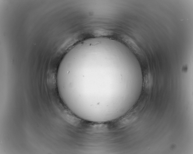 X0000091660426200709061024